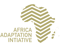 Africa Adaptation Initiative