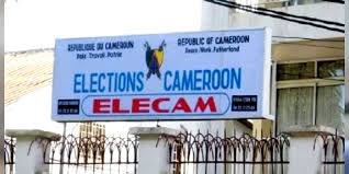 Elections Cameroon (ELECAM) and the Constitutional Council