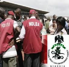 NDLEA