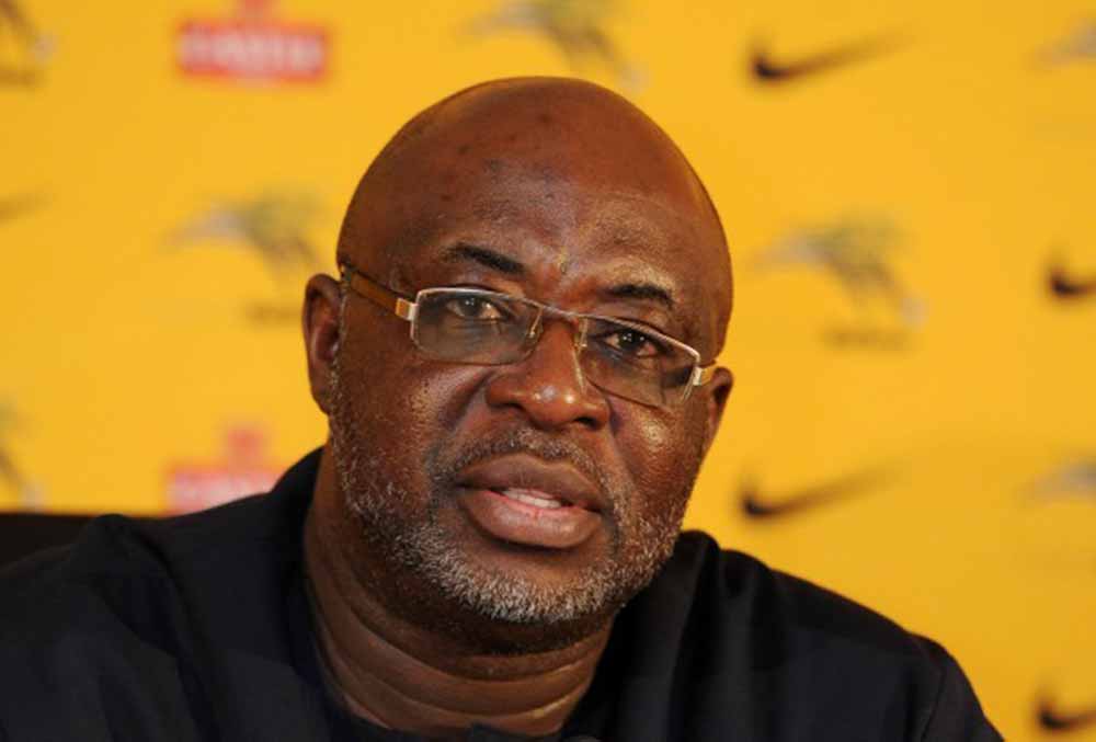 Dog attacks won’t affect Nigeria at 2019 AFCON, NFF assures Dog attacks won’t affect Nigeria at 2019 AFCON, NFF assures