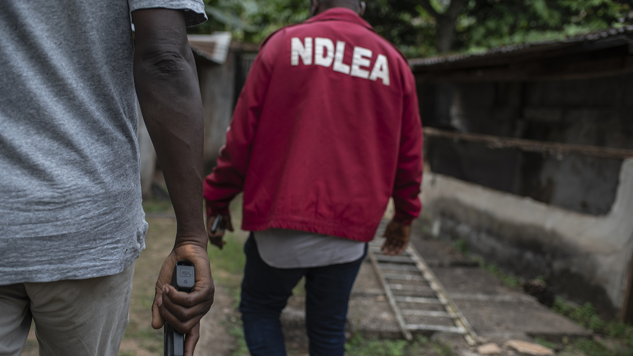 NDLEA arrests 178 drug offenders, secures 29 convictions in Sokoto NDLEA arrests 178 drug offenders, secures 29 convictions in Sokoto