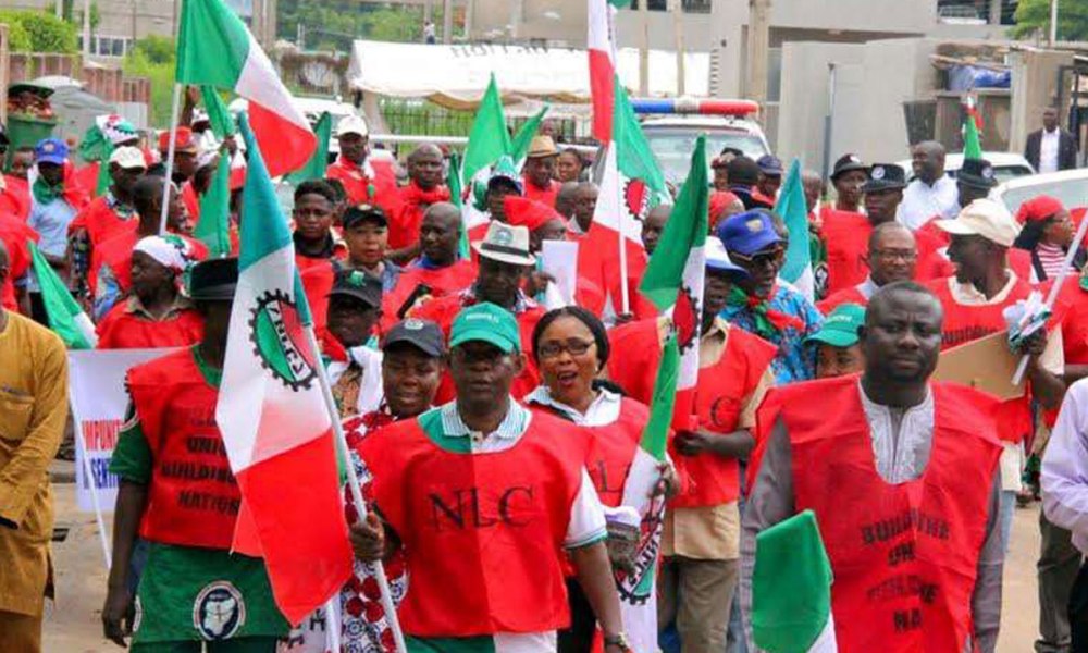 Nafada To NLC, Vote For Me You Will Not Regret. Leadership Newspaper