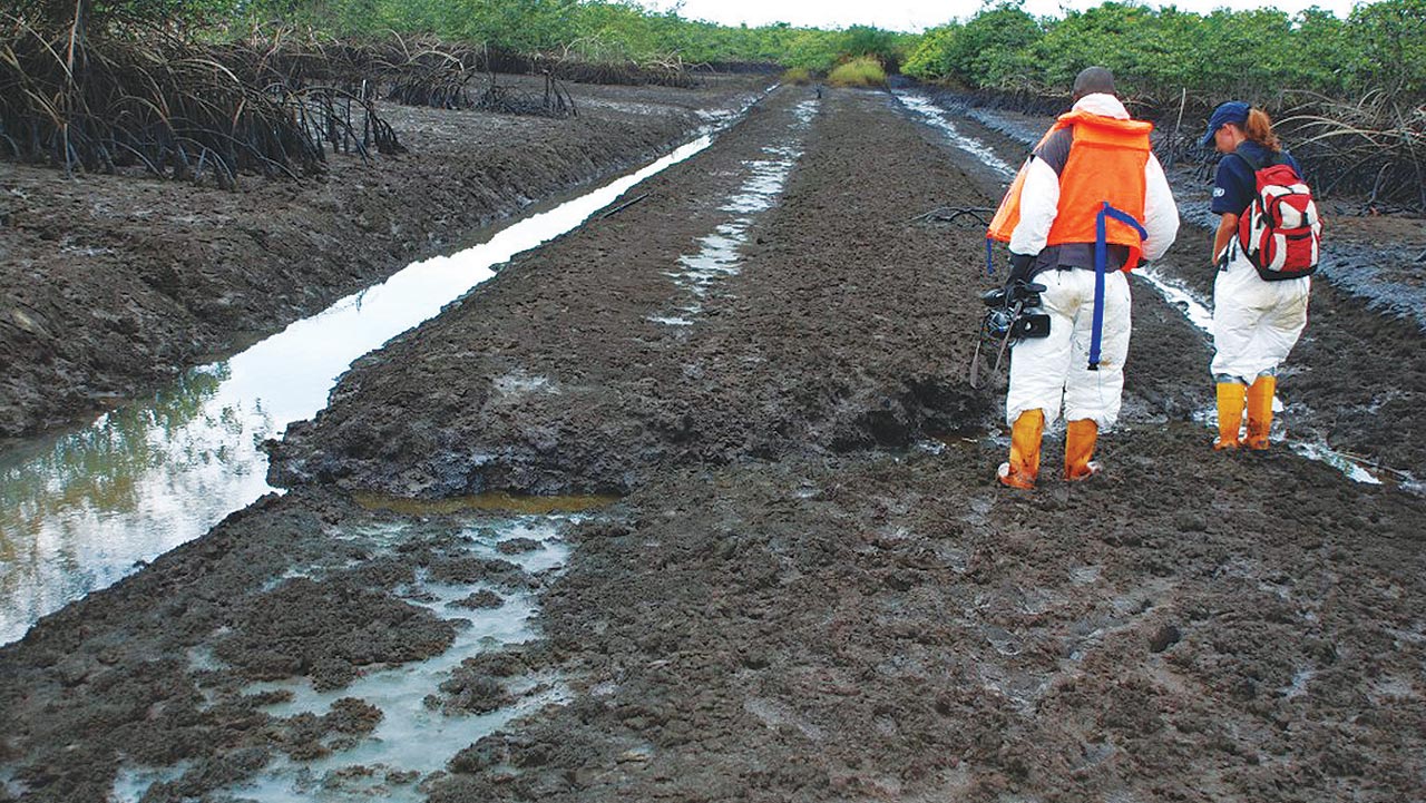 Ogoniland cleanup opaque, not in agreement with UNEP recommendations, elders insist Ogoniland cleanup opaque, not in agreement with UNEP recommendations, elders insist