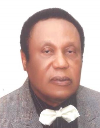 Save For Politics, Nigeria Can Defeat Boko Haram Totally Leadership Newspaper