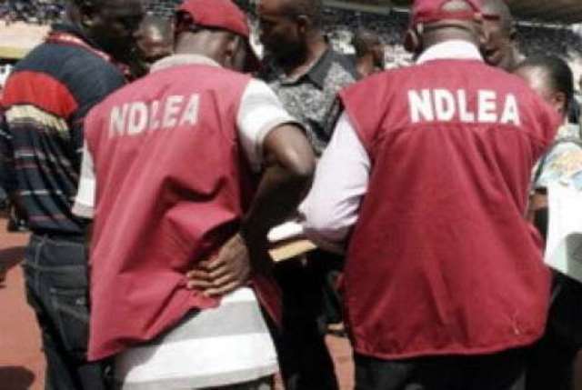 Drug Dealers Kill 4 NDLEA Officers In Ondo Drug Dealers Kill 4 NDLEA Officers In Ondo