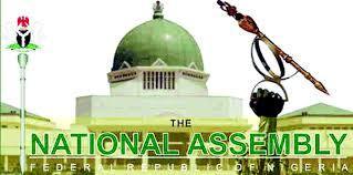 NYCN Urge APC To Allocate Key Positions To South-East Zone NYCN Urge APC To Allocate Key Positions To South-East Zone