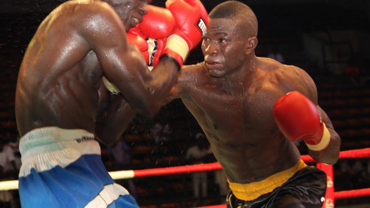 Organisers begin hunt for female boxers as GOtv Boxing Night returns to Ibadan | Organisers begin hunt for female boxers as GOtv Boxing Night returns to Ibadan |