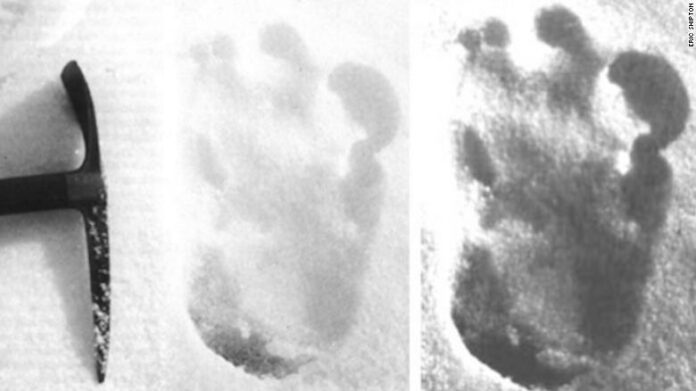 footprints-of-Large-mystical-beast-Yeti-found-in-mountains-in-India