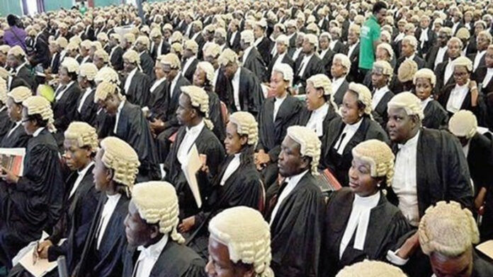 law school