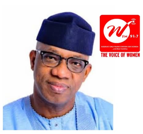 ogun gov