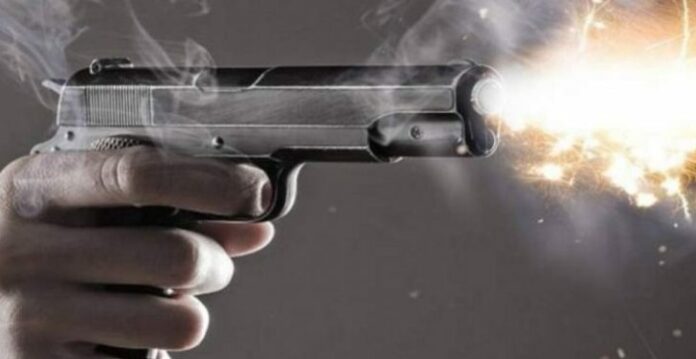 Gun