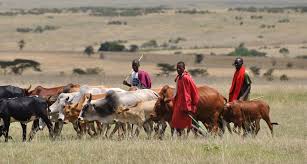 Herders