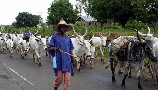 Herdsmen