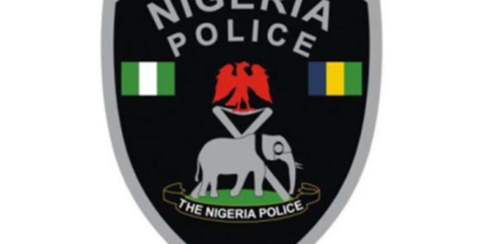 NPF Logo