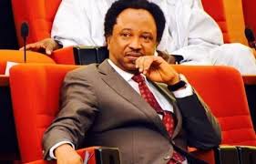 Sen Sanni