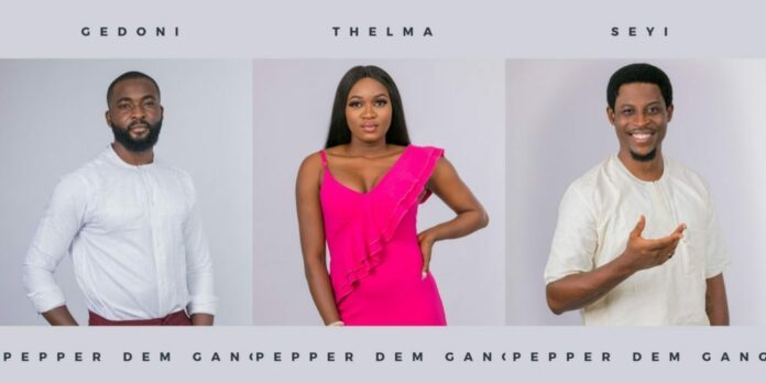 bbnaija-4-meet-thelma-seyi-gedoni