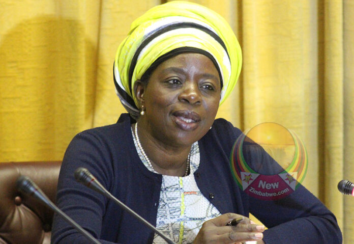 ZImbabwe Public Service Minister, Sekai-Nzenza ZImbabwe Public Service Minister, Sekai-Nzenza