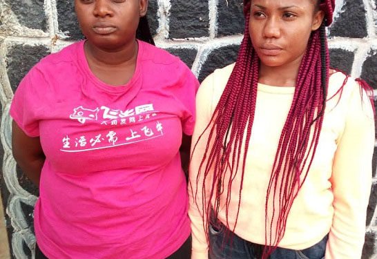 The-female-suspects-11-546x375