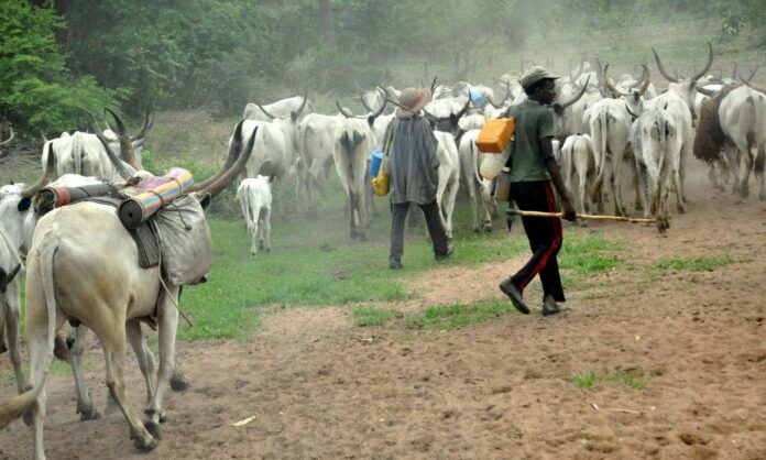 herdsmen (1)