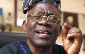 Femi Falana