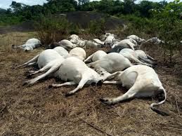 Oke Owa Hill in Ijare in Ifedore Local Government Area of Ondo State