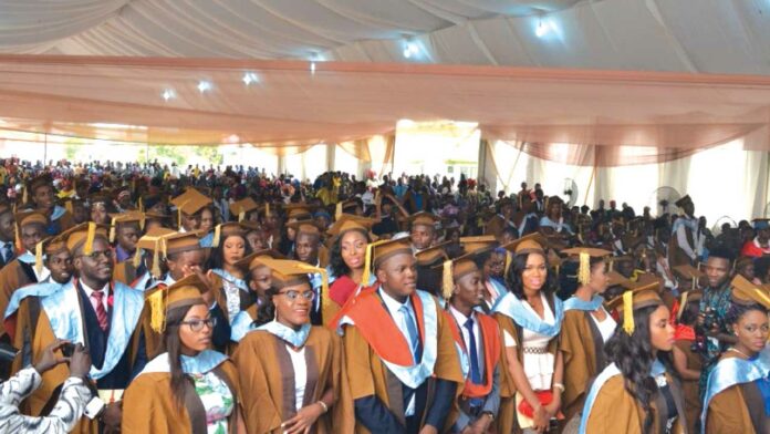 Undergraduate