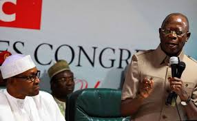 buhari oshemole