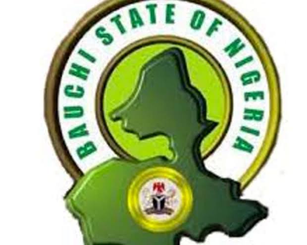 bauchi1