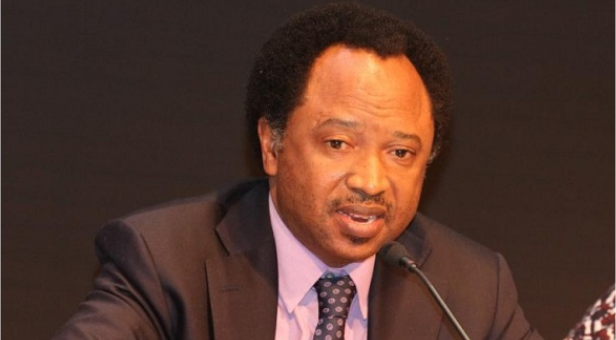 Senator-Shehu-Sani (1)