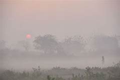 environment