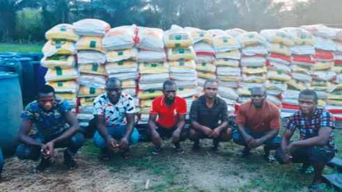nigerian-navy-arrest-six-rice-smugglers-seize-1439-bags-of-rice