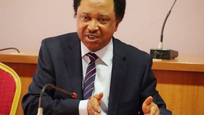 shehu-1-sani