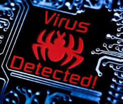 viruses