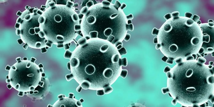 coronavirus-to-strike-every-country-on-the-planet-as-it-bigger-world-health-organisation-warns