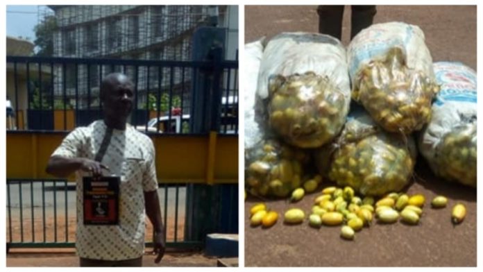 man-arrested-for-poisoning-143-bags-of-garden-eggs-in-enugu-1200x675