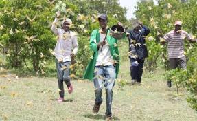 ABUJA FARMERS