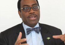GDP Not Enough To Measure Economic Growth-AfDB