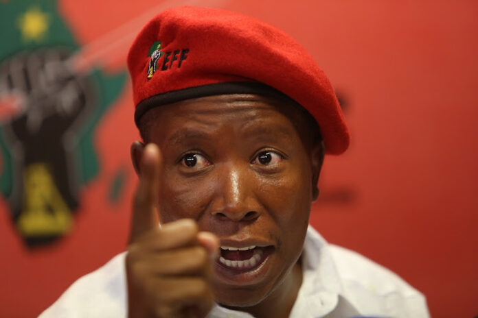 Julius-malema Julius Malema