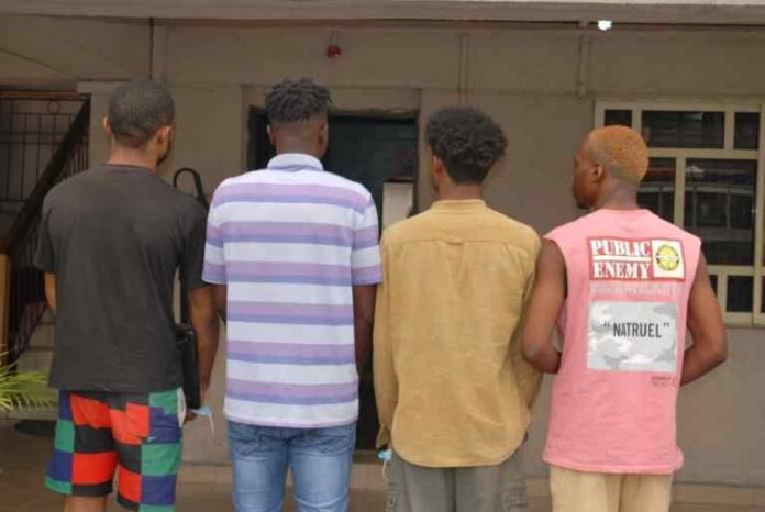 yahoo-boys