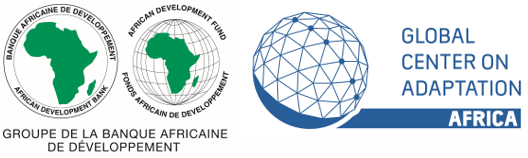 Launch of Global Center on Adaptation