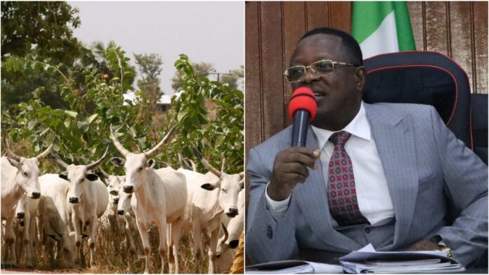 Dave-Umahi