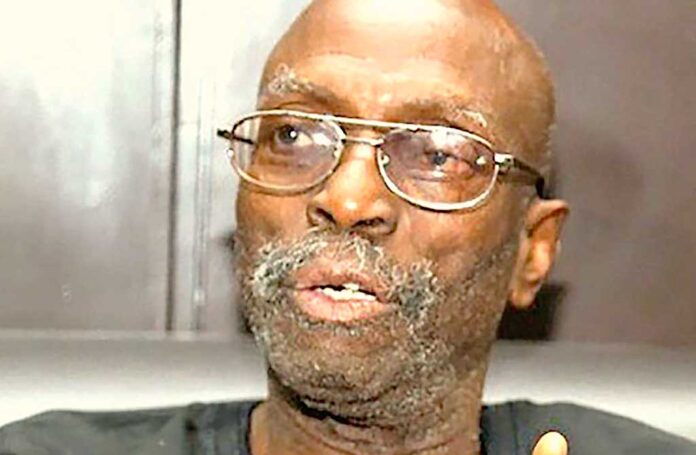 Professor-Biodun-Jeyifo Professor Biodun Jeyifo