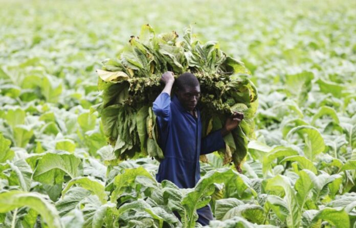 farm-worker
