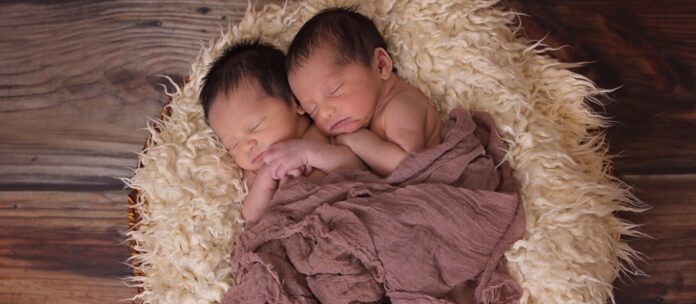 twins-1628843_1920_2