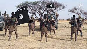 Islamic State of West Africa Province (ISWAP)