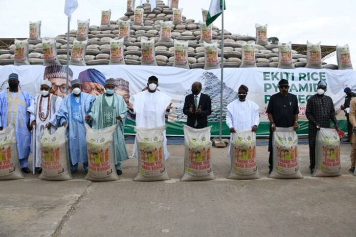 rice-pyramid2