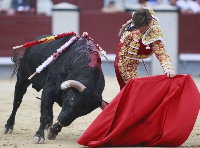 Bullfighting