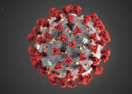 CoronaVirus