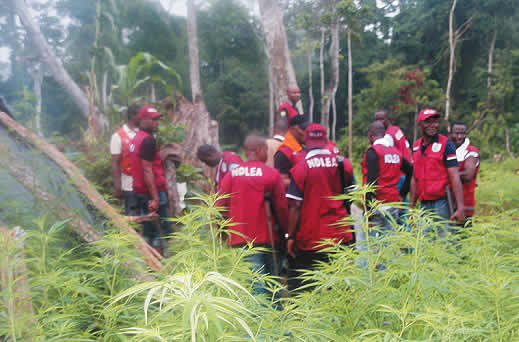 NDLEA-operatives.jpg