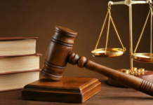Appeal Court Voids Electoral Act Provisions on Party Primaries, Membership Registers